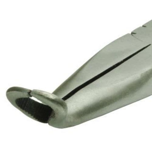 アストロプロダクツ 3/8 ロングノーズホースプラ