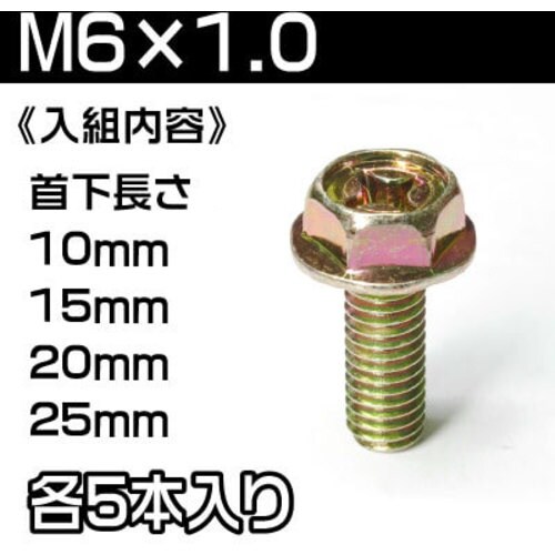 アストロプロダクツ フランジボルト 60個セット