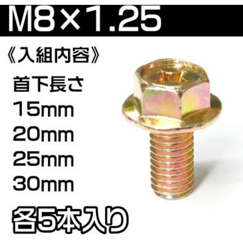 アストロプロダクツ フランジボルト 60個セット