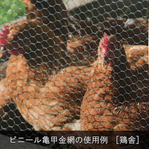 DAIDOHANT ビニール 亀甲金網 線径1.1