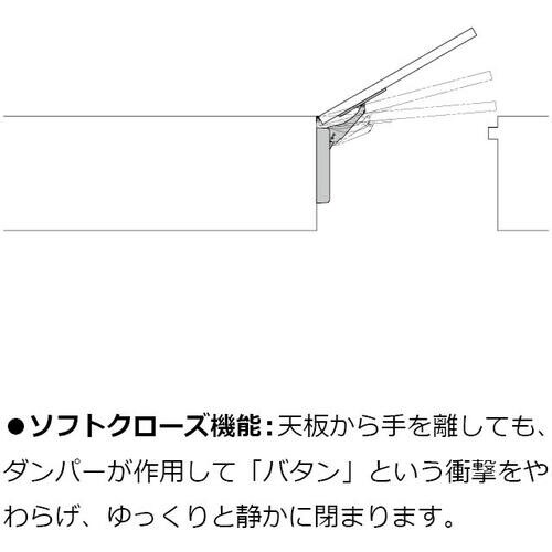 SUGATSUNE (170034869)LADH