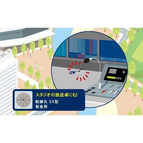 SUGATSUNE (210037280)SX79