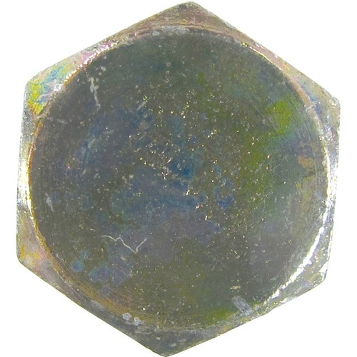 DAIDOHANT クロメート コーチスクリュー