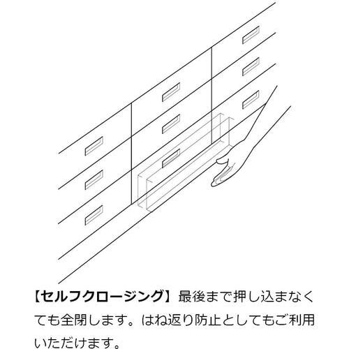 SUGATSUNE (190037951)C327