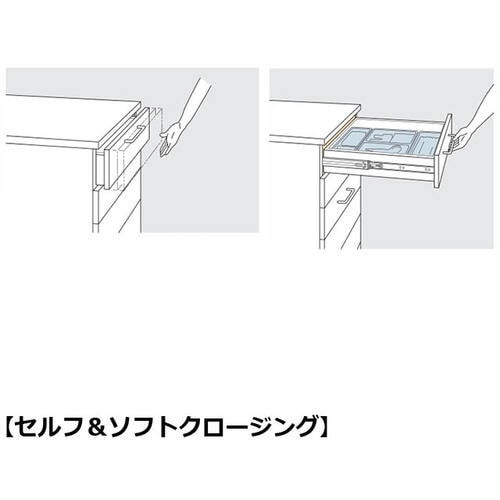 SUGATSUNE (190032434)2020