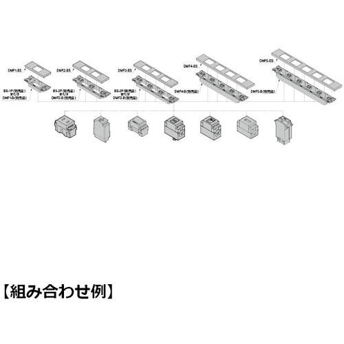 SUGATSUNE (210032983)DMF1