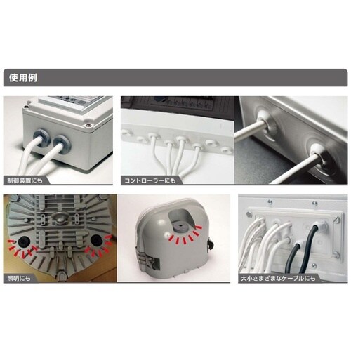 SUGATSUNE (210038238)T−14