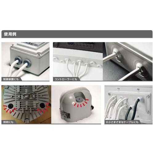 SUGATSUNE (210039328)T−14