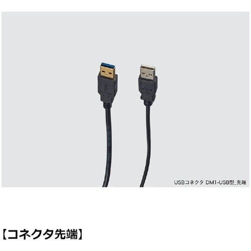 SUGATSUNE (210036813)DM1−