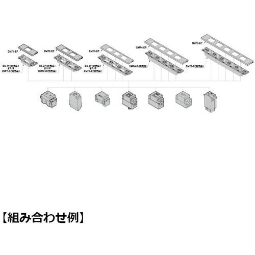 SUGATSUNE (210043474)DMF1