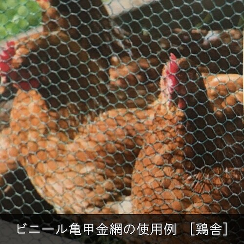 DAIDOHANT ビニール亀甲金網 線径0.85