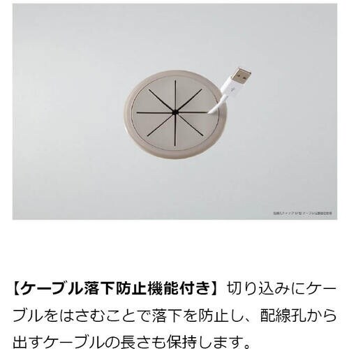 SUGATSUNE (210037256)SF91