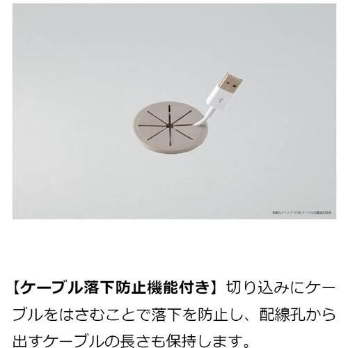 SUGATSUNE (210037273)SX58