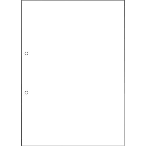 HISAGO マルチプリンタ帳票 A4 白紙 2穴