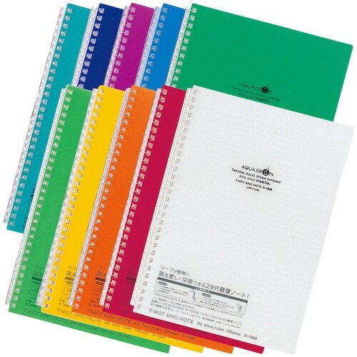 LIHIT ツイストノート 乳白 セミB5−29穴