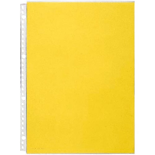 LIHIT クリヤーポケット (10枚入り) A4