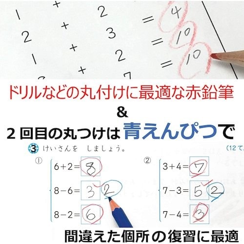 Tombow 丸つけ用赤青えんぴつ