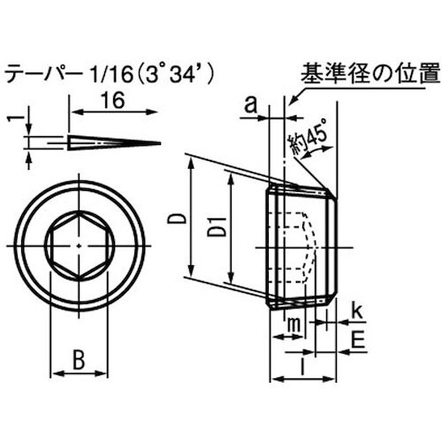 SUNCO ステンGOSHOプラグ NPTF(沈み