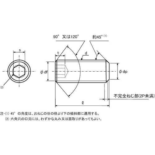 SUNCO ステンHS(平先 8×55 (100本