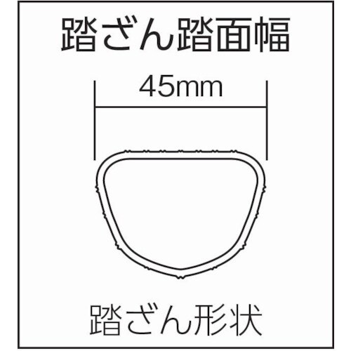 PiCa 1連はしごプロ1PRO型 6.2m