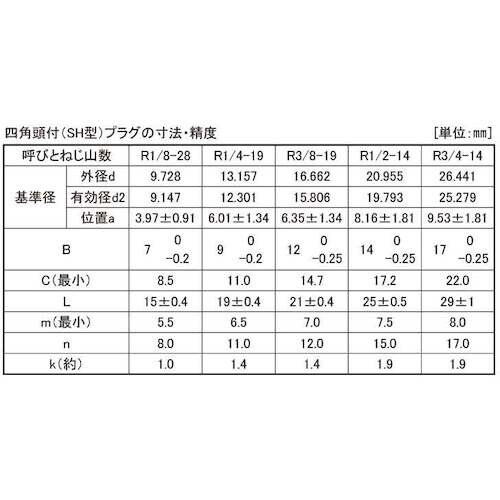 SUNCO BSプラグ 四角頭 R1/2−14×2