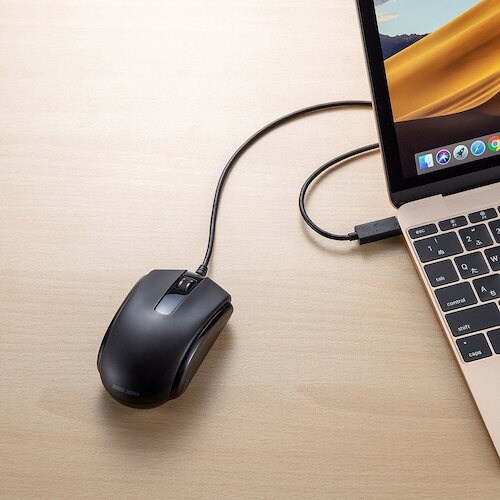 SANWA 有線Type−CブルーLEDマウス