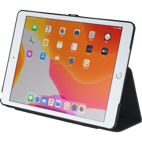 SANWA iPad 10.2インチ ハードケース