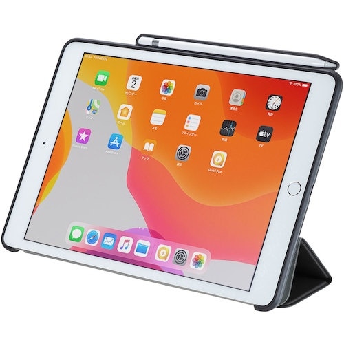 SANWA iPad 10.2インチ Apple