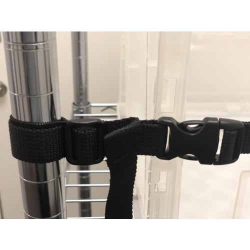 Pro−7 プロセブンラックベルト