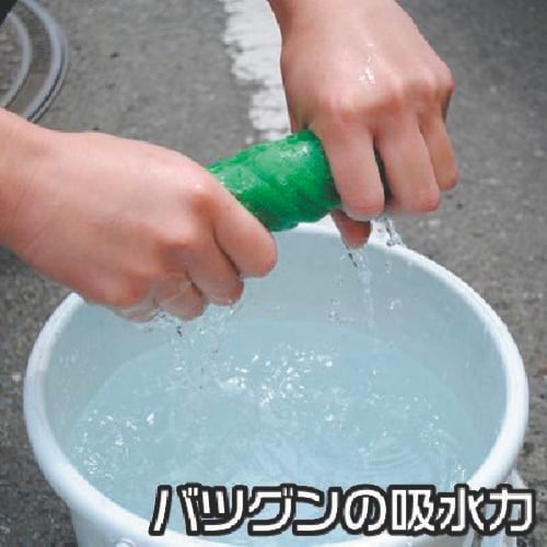 アストロプロダクツ AP 12PC カーウォッシュ