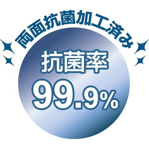 HISAGO 抗菌紙名刺 10面 標準サイズ