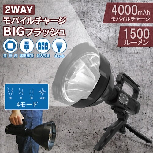 グリーンクロス 2WAY モバイルチャージBIGフ