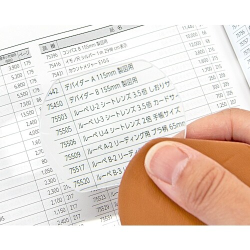 シンワ ルーペ N−4 ポケットガタ 60カケル4