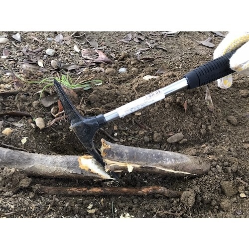 DOGYU パイプ柄バチヅルBD−27