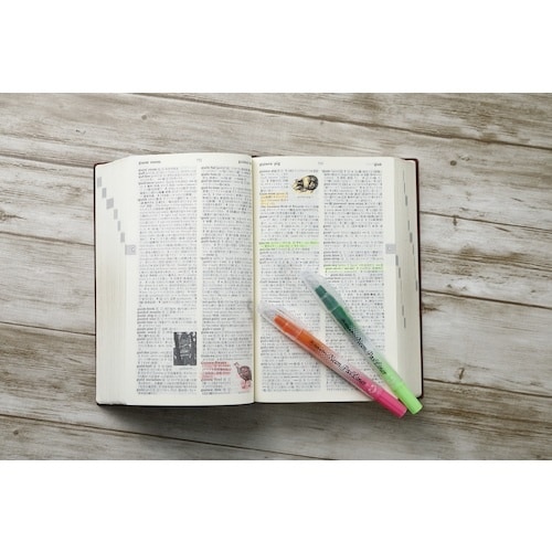 マジックインキ 蛍光マーカー ギターネオンパスライ