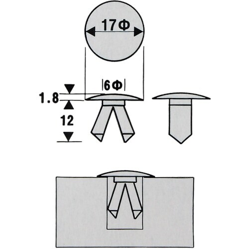 WAKI フリーキャップ if−004 チャ 5個