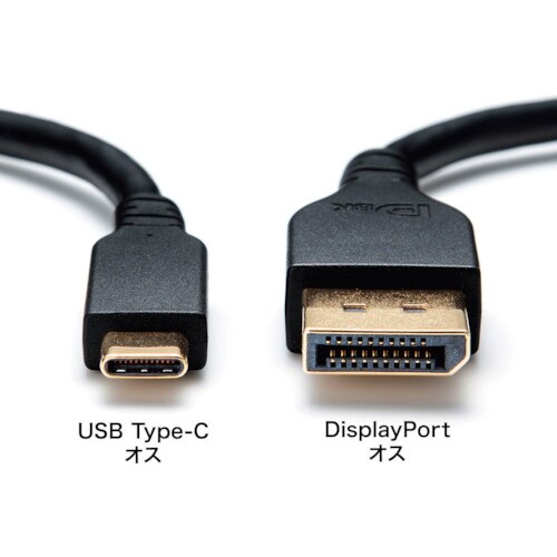 SANWA TypeC−DisplayPort変換