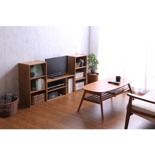 IRIS 252230 モジュールボックス