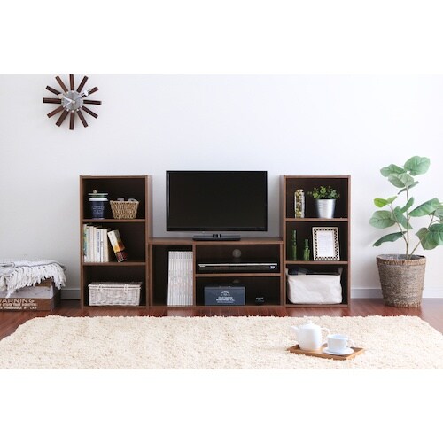 IRIS 252231 モジュールボックス