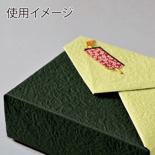 HEIKO 和紙 鳥の子 エンボス NO.51 テ