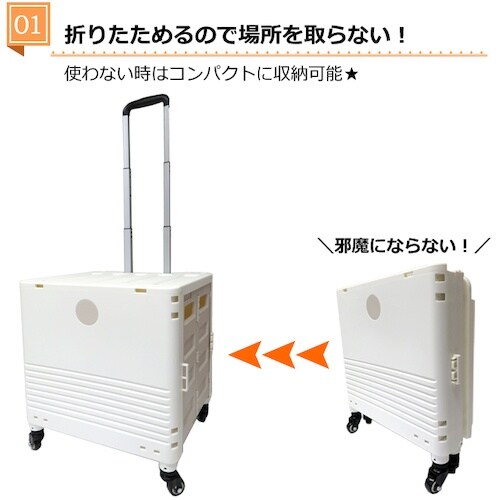 グリーンクロス キャリーコンテナL 4輪タイプ フ