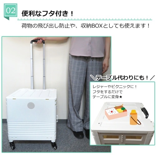 グリーンクロス キャリーコンテナL 4輪タイプ フ