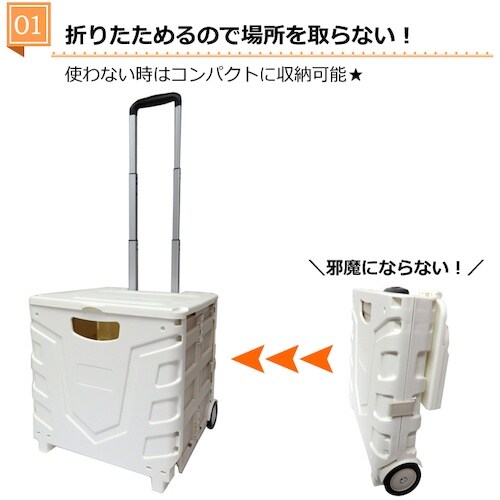 グリーンクロス キャリーコンテナM 2輪タイプ フ