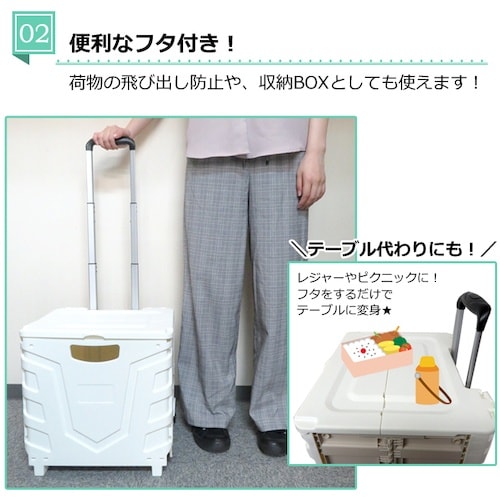 グリーンクロス キャリーコンテナM 2輪タイプ フ