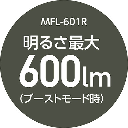 MUSTTOOL MFL−601R 充電式フラッシ