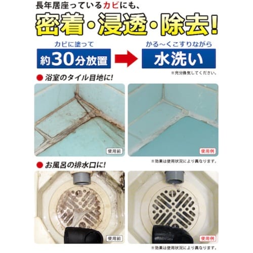 アイメディア 業務用スカッとカビ取りジェル 徳用タ