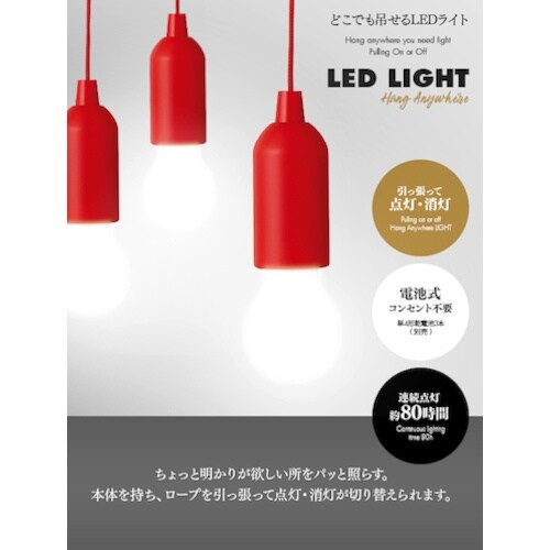 アイメディア どこでも吊せるLEDライト 赤