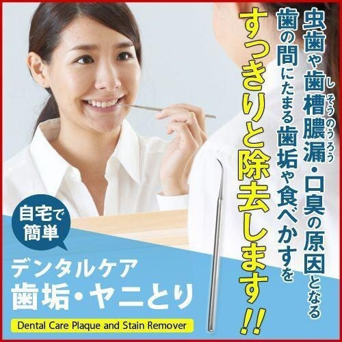 アイメディア デンタルケア 歯垢・ヤニとり