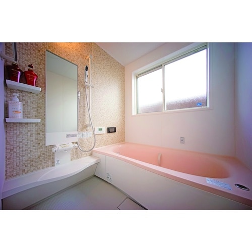 Linda 防カビ抗菌コート 高耐久 2kg