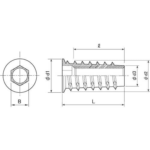 SUNCO 三価ホワイト 鬼目ナット Dタイプ 1